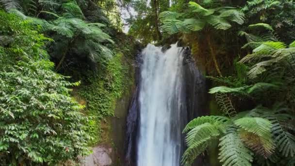 Cascada Selva Tropical Imágenes Alta Calidad — Vídeo de stock