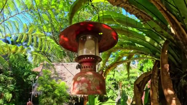 Uma Lâmpada Velha Numa Selva Tropical Imagens Alta Qualidade — Vídeo de Stock