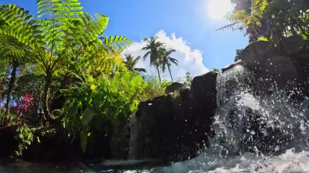 Resort Selva Tropical Isla Imágenes Alta Calidad — Vídeo de stock