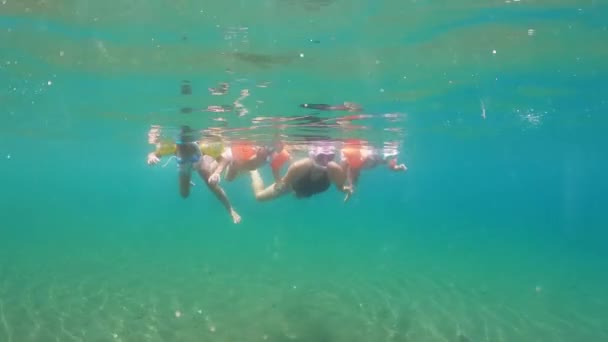 Μαμά Και Κόρες Κάνουν Ψαροντούφεκο Στον Ωκεανό Υψηλής Ποιότητας Πλάνα — Αρχείο Βίντεο