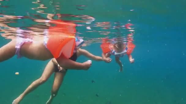 Mamá Hijas Haciendo Snorkel Océano Imágenes Alta Calidad — Vídeos de Stock