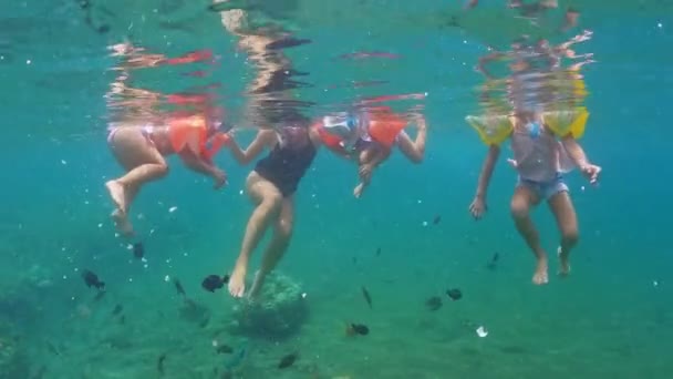 Anne Kızları Okyanusta Şnorkelle Yüzüyor Yüksek Kalite Görüntü — Stok video
