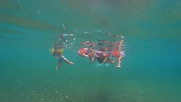 Μαμά Και Κόρες Κάνουν Ψαροντούφεκο Στον Ωκεανό Υψηλής Ποιότητας Πλάνα — Αρχείο Βίντεο