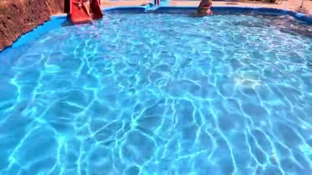 Niños Nadando Piscina Del Parque Acuático Imágenes Alta Calidad — Vídeo de stock