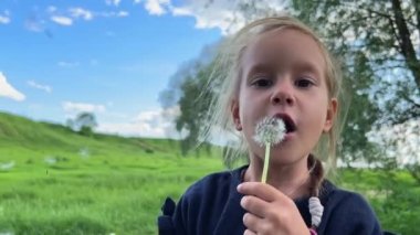 Karahindiba taşıyan küçük kızlar. Yüksek kalite 4k görüntü