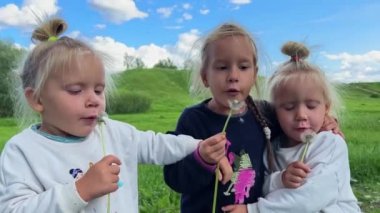 Karahindiba taşıyan küçük kızlar. Yüksek kalite 4k görüntü