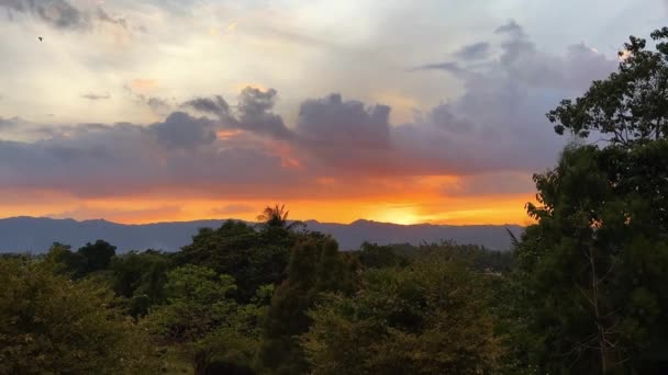Oranžový Západ Slunce Tropickém Ostrově Vysoce Kvalitní Záběry — Stock video