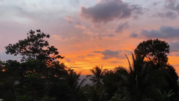 Narancssárga Naplemente Trópusi Szigeten Kiváló Minőségű Felvételek — Stock videók