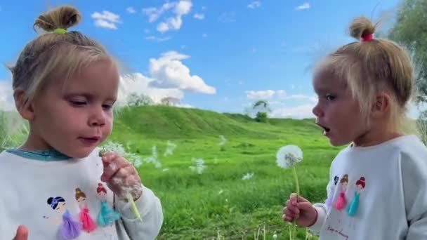 Karahindiba Taşıyan Küçük Kızlar Yüksek Kalite Görüntü — Stok video