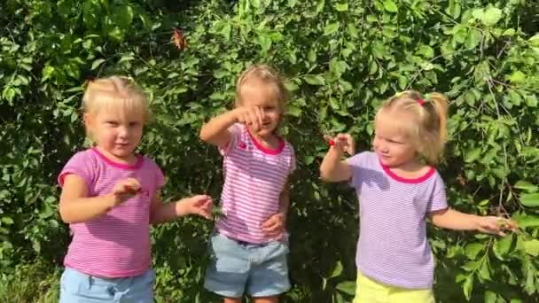 Niños Con Cerezas Imágenes Alta Calidad — Vídeo de stock