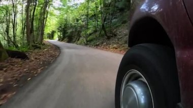 Bir araba orman yolunda gidiyor, kuaför salonundan manzara var. Yüksek kalite 4k görüntü