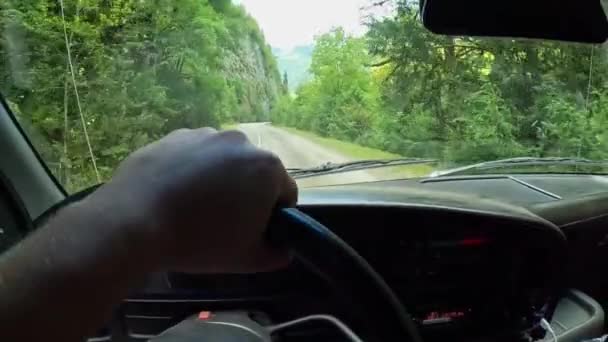 Coche Está Conduciendo Una Carretera Forestal Vista Desde Salón Imágenes — Vídeos de Stock