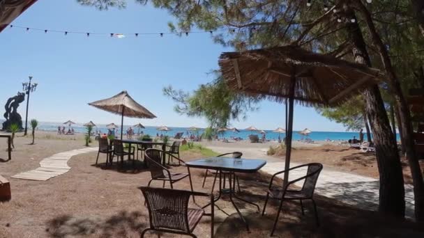 Пляжное Кафе Соснами Высококачественные Кадры — стоковое видео