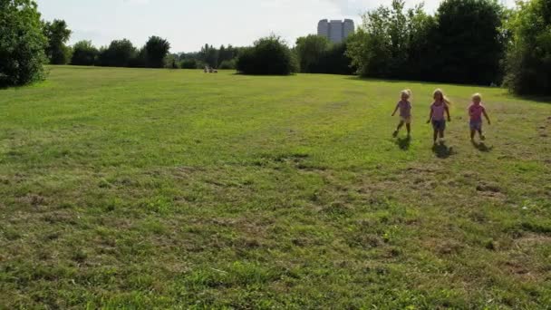 Triplet Zus Kinderen Rennen Het Gras Hoge Kwaliteit Beeldmateriaal — Stockvideo