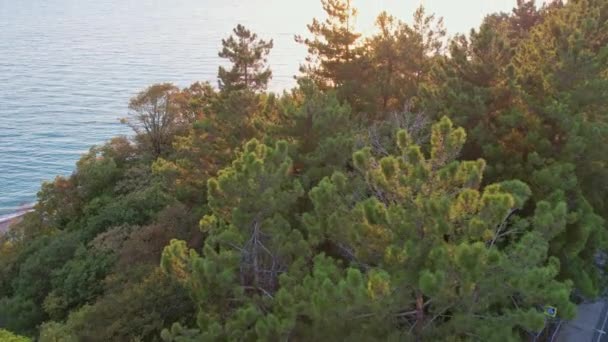 Захід Сонця Чорноморському Безпілотнику Високоякісні Кадри — стокове відео