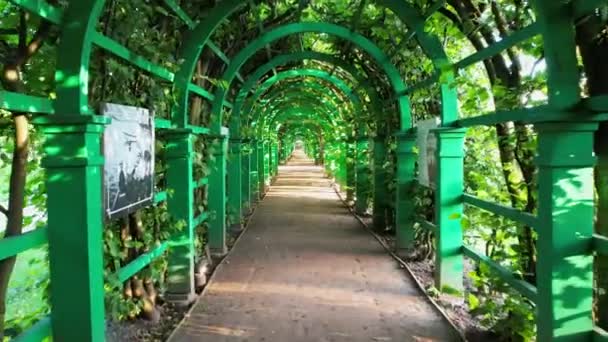 穿过绿树成荫的走廊 高质量的4K镜头 — 图库视频影像
