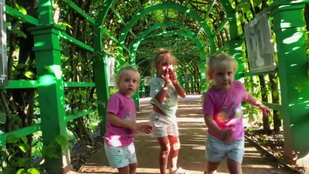 Маленькие Девочки Тройняшки Бегут Зеленому Коридору Высококачественные Кадры — стоковое видео
