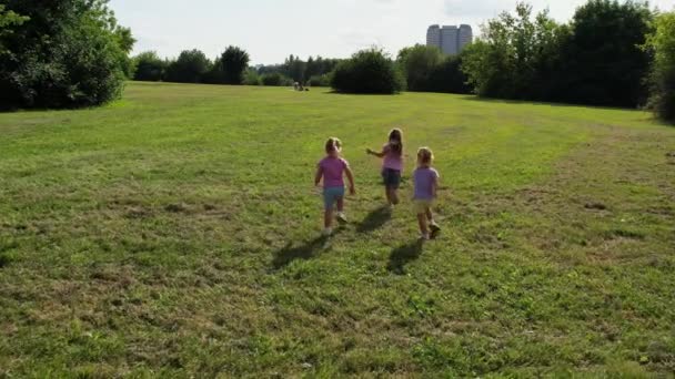 Τρίπλετ Αδελφή Παιδιά Τρέχουν Στο Γρασίδι Υψηλής Ποιότητας Πλάνα — Αρχείο Βίντεο
