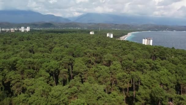 Abhazia Pitsunda Fotografie Dronelor Înregistrare Înaltă Calitate — Videoclip de stoc
