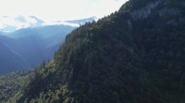 Orman Yaz Dronu ile kaplı dağlar. Yüksek kalite 4k görüntü