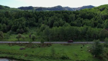 Dağ yolunda kırmızı bir araba sürüyor. Yüksek kalite 4k görüntü