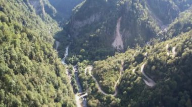 Orman Yaz Dronu ile kaplı dağlar. Yüksek kalite 4k görüntü