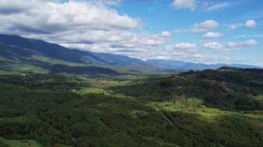 Orman Yaz Dronu ile kaplı dağlar. Yüksek kalite 4k görüntü