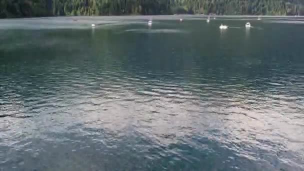 Filmagem Drone Lago Ritsa Abkhazia Imagens Alta Qualidade — Vídeo de Stock