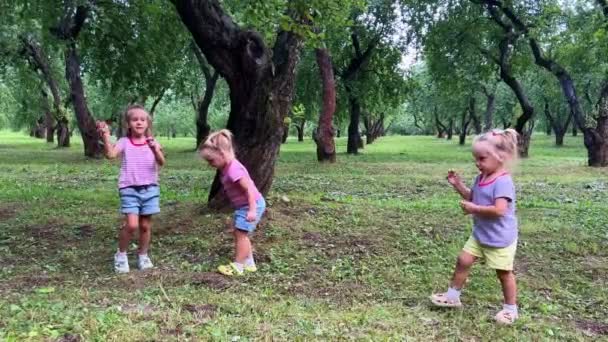 Сестра Играет Лесу Высококачественные Кадры — стоковое видео