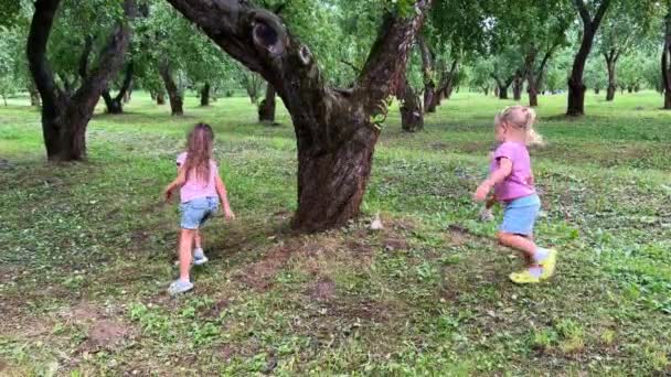 Schwestermädchen Spielt Wald Hochwertiges Filmmaterial — Stockvideo