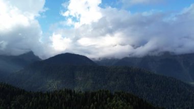 Dağlardaki yeşil kozalaklı bir ormanın üzerinde uçarken, hava sıcak ve güneşlidir, dağların vadileri ve zirveleri orman ve drone görüntüleriyle kaplıdır. Yüksek kalite 4k görüntü