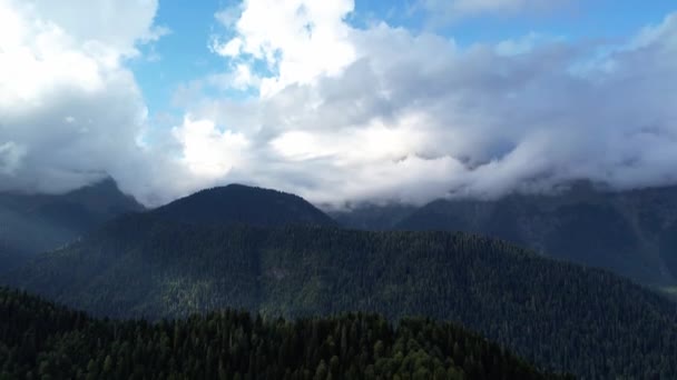 Volando Una Verde Foresta Conifere Montagna Tempo Caldo Soleggiato Valli — Video Stock
