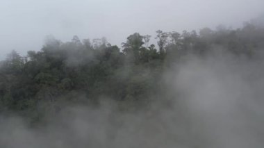 Yağmur ormanları, bulutlar ve sisle kaplı dağların üzerinde uçan bir drondan çekim yapmak tropikal Filipinler adasında bulutların ve sislerin içinde tropikal bir yağmur ormanında uçmak. 