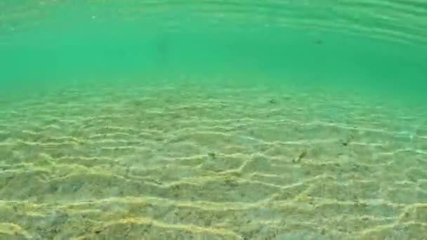Unterwasseraufnahmen Von Sonnigem Flachen Meerwasser Hochwertiges Filmmaterial — Stockvideo