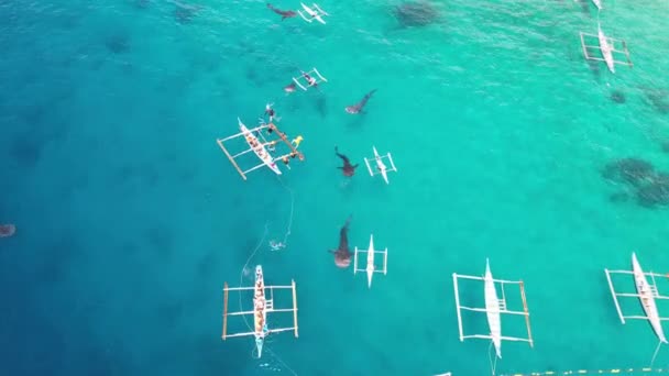 鲸鲨与船在海洋拍摄从无人驾驶飞机 高质量的4K镜头 蓝色海洋 许多鲸鲨和船只 人们喂鲨鱼 菲律宾虎鲸鲨鱼观察 — 图库视频影像