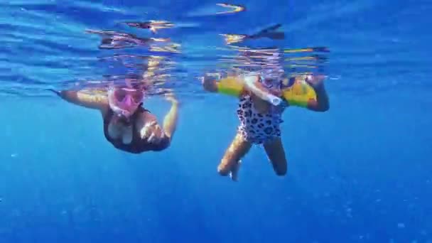 Kleines Mädchen Schwimmt Mit Mama Und Walhaien Mit Maske Und — Stockvideo