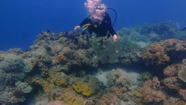 漂浮式潜水岛的蚜虫海洋珊瑚礁粉红口罩女孩底部深度泡泡太阳龟鱼潜水在菲律宾海龟女孩的深度 高质量的4K镜头 — 图库视频影像