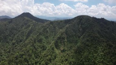 Yağmur ormanları, bulutlar ve sisle kaplı dağların üzerinde uçan bir drondan çekim yapmak tropikal Filipinler adasında bulutların ve sislerin içinde tropikal bir yağmur ormanında uçmak. 