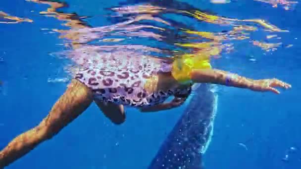 Κοριτσάκι Που Κολυμπά Μαμά Και Τους Φαλαινοκαρχαρίες Μάσκα Και Αναπνευστήρα — Αρχείο Βίντεο