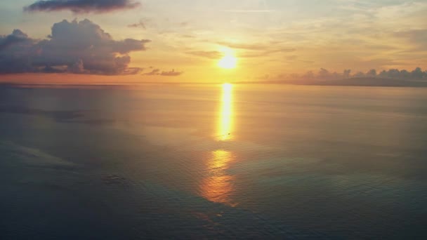 Wschód Słońca Tropikalnej Wyspie Wysokiej Jakości Materiału Dron Palm — Wideo stockowe