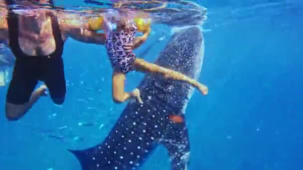 小女孩与妈妈和鲸鱼一起 带着面具和潜水的鲨鱼一起游泳 5岁的女儿和妈妈与鲸鱼一起游泳 高质量的4K镜头 — 图库视频影像