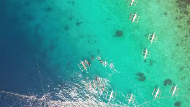 Velrybí Žraloci Loďkami Oceánu Natáčí Dronu Vysoce Kvalitní Záběry Modrý — Stock video
