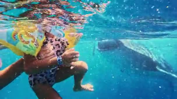 Dziewczyna Nurkuje Rekinami Wielorybów Oceanie Mała Dziewczynka Pływa Rekinami Wielorybów — Wideo stockowe