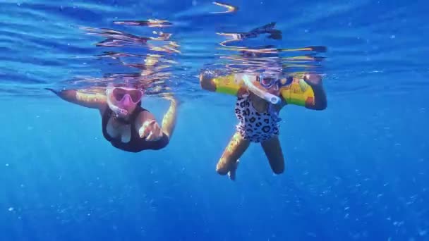 Mädchen Schnorchelt Mit Walhaien Ozean Little Girl Schwimmt Mit Walhaien — Stockvideo