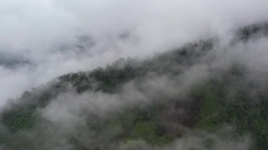 Yağmur ormanları, bulutlar ve sisle kaplı dağların üzerinde uçan bir drondan çekim yapmak tropikal Filipinler adasında bulutların ve sislerin içinde tropikal bir yağmur ormanında uçmak. 