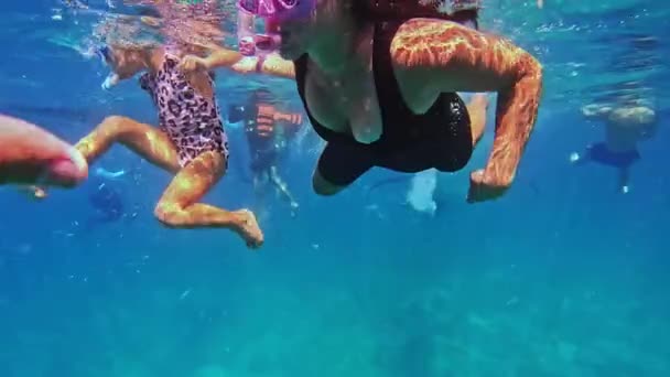 Okyanusta Balina Köpekbalıklarıyla Şnorkelle Yüzen Küçük Kız Balina Köpekbalıklarıyla Yüzüyor — Stok video