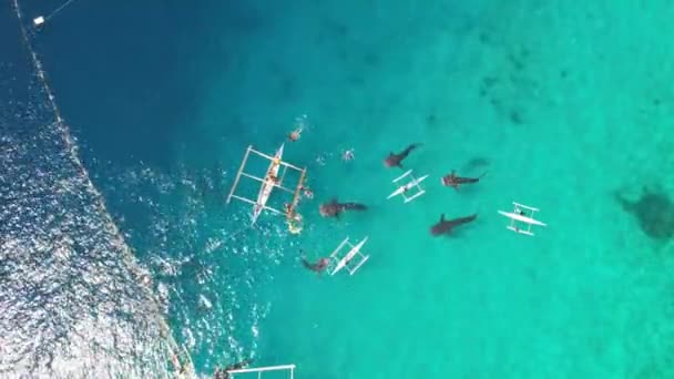 Walvishaaien Met Boten Oceaan Die Filmen Vanuit Een Drone Hoge — Stockvideo