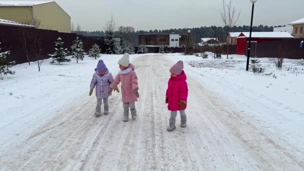 Küçük Kız Kardeşler Karlı Bir Yolda Yürüyorlar Kalın Ceketler Şapkalar — Stok video