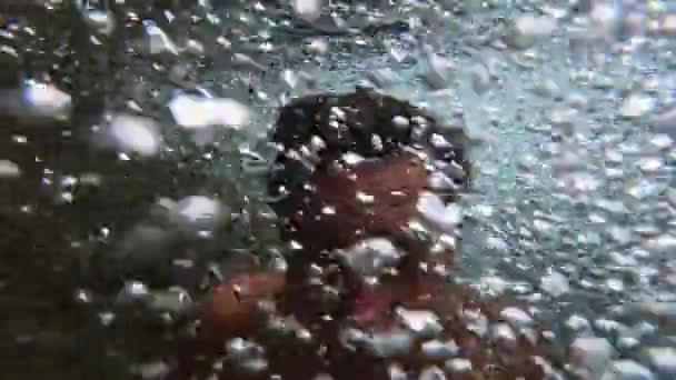 Fiume Nella Giungla Con Una Cascata Acqua Blu Filmati Alta — Video Stock