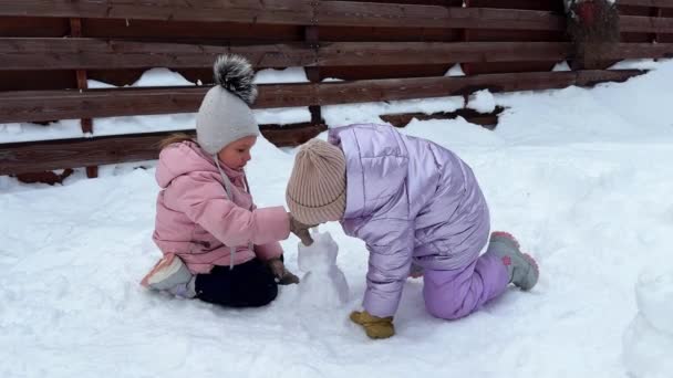 Kleine Schwestern Zwillinge Basteln Einen Kleinen Schneemann Auf Dem Schnee — Stockvideo